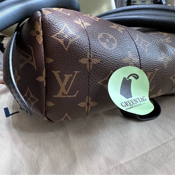 Louis Vuitton Palm Spring Backpack MM - Picture 11 of 12